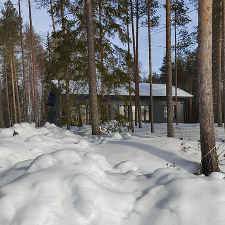 Norvalisma Vila Rovaniemi Exterior foto
